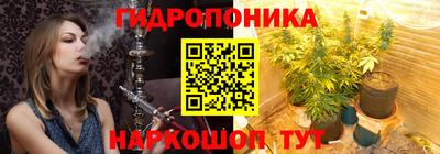 каннабис Кингисепп